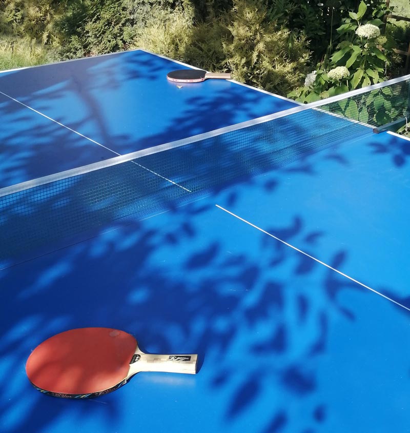 Ping Pong League - Sold Out